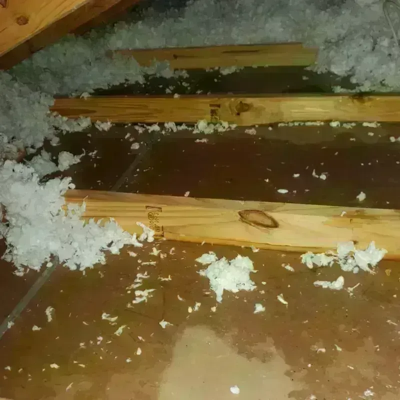 Attic Water Damage in Haslet, TX